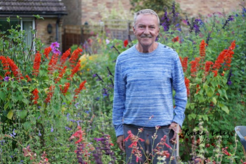 Robin in amongst his Salvias